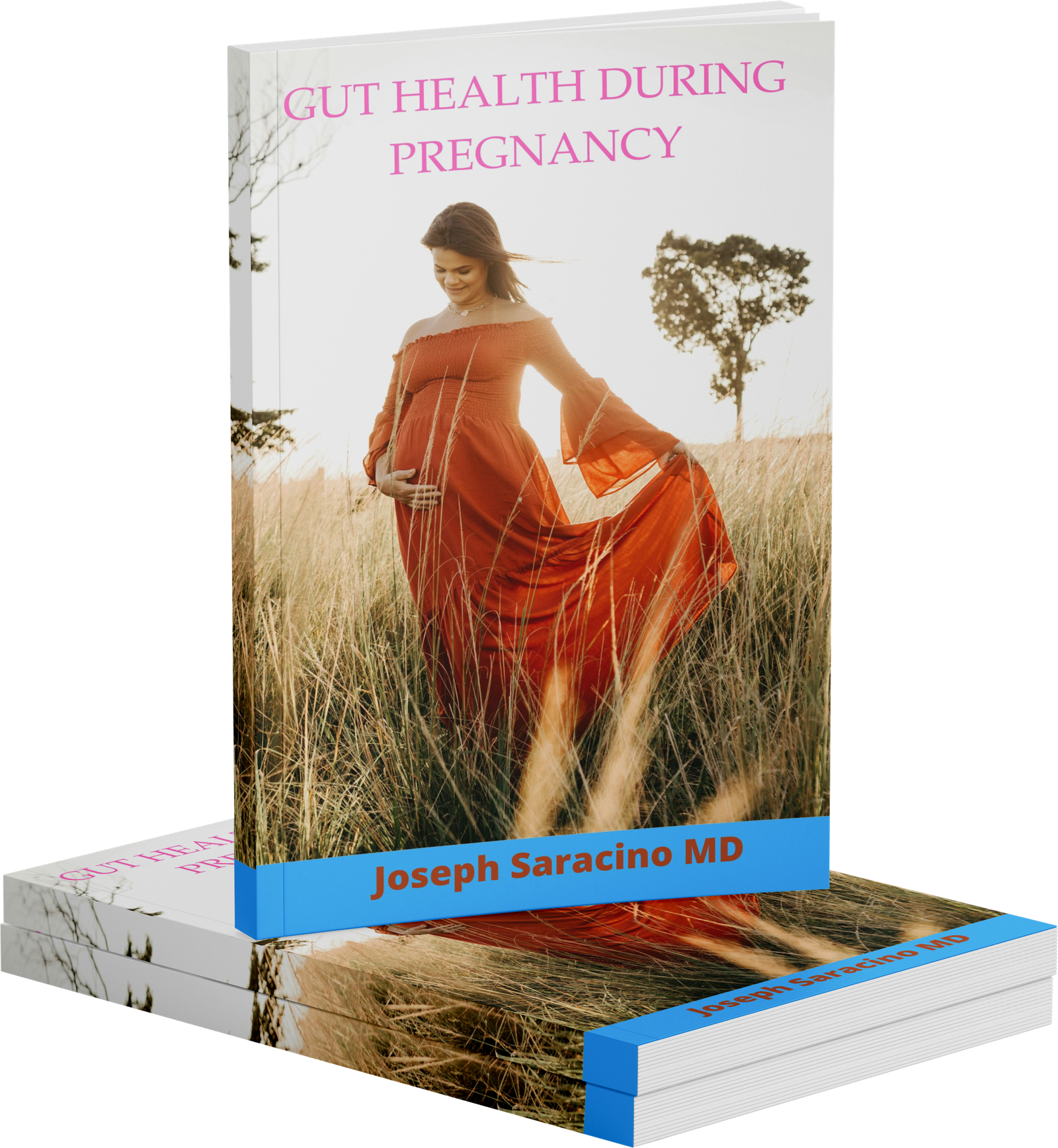Gut Health During Pregnancy by Joseph Saracino MD